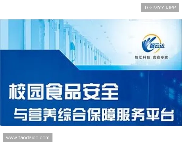 开云体育在线登陆账号安全保障措施，保障用户信息安全与隐私保护