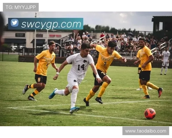 开云体育最新链接提供丰富的体育赛事资源,满足不同用户的多样化需求 开云体育最新链接提供丰富的体育赛事资源,满足不同用户的多样化需求