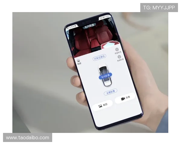 开云官网入口安全访问指南，确保用户在官方平台上的每一次交易都安全可靠