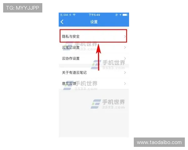 开云网址登录入口安全登录技巧，保障您的账号信息安全与登录体验顺畅