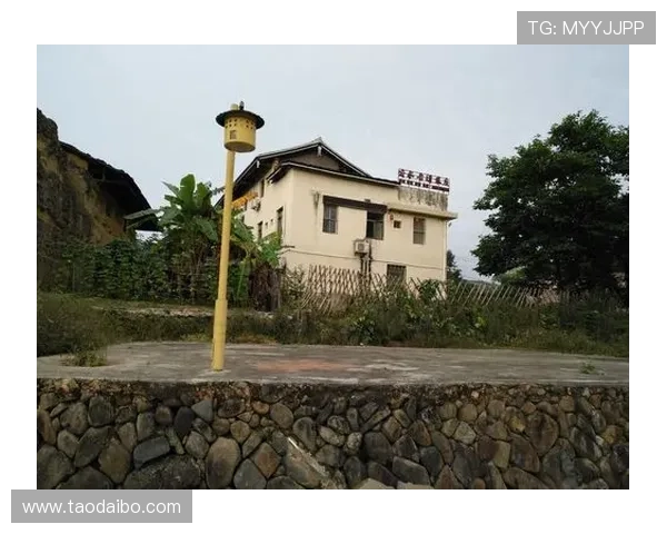 开云体育app注册成功后如何完善个人信息提升账户安全性指南