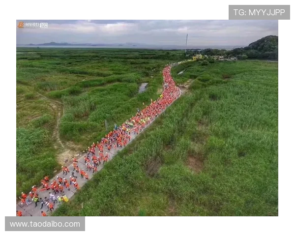 开云体育网址大全为体育迷提供一站式的赛事直播和资讯平台，方便快捷体验体育盛宴