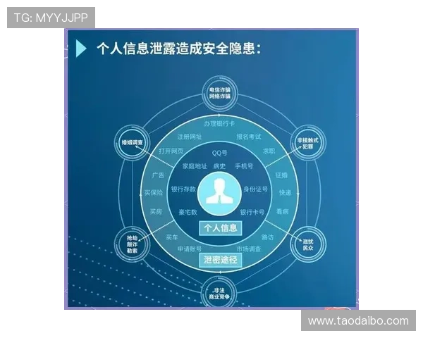 深度剖析开云网页版登录入口的安全性及隐私保护措施