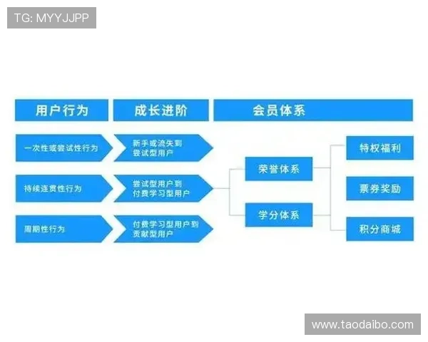 开云体育登录下载最新版本更新内容及详细安装步骤详解